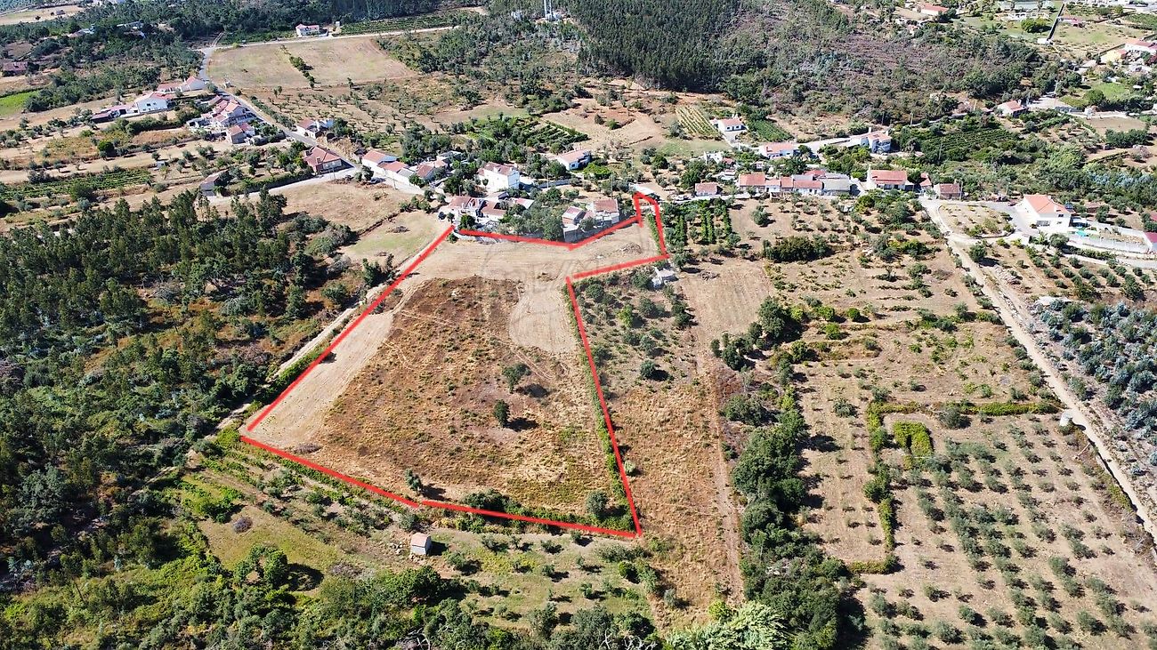 Terreno - Olalhas, Tomar, Santarém