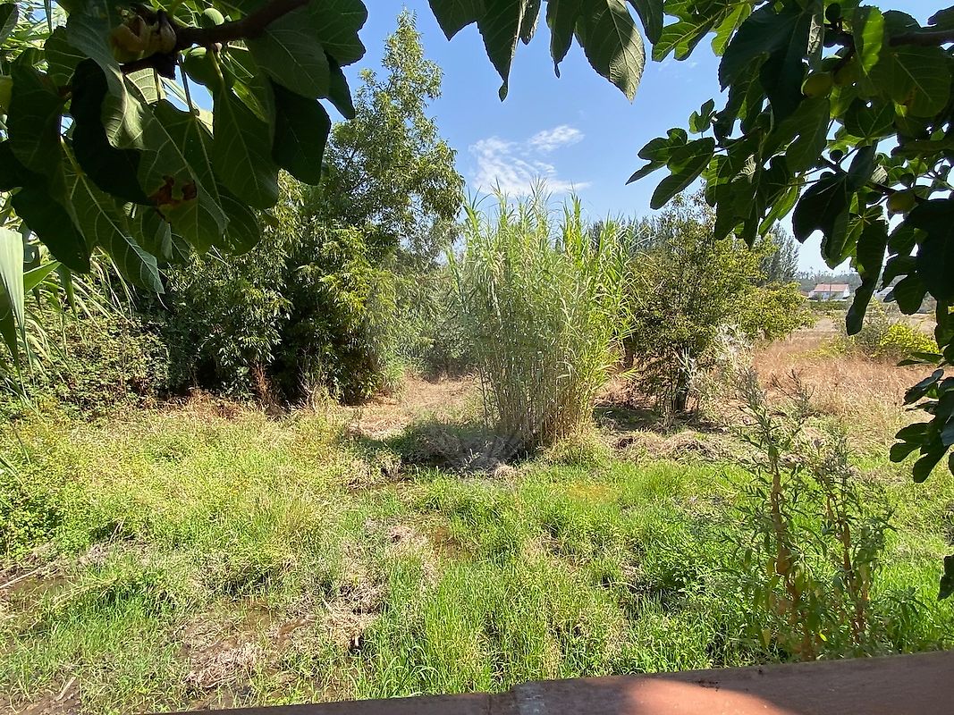 Moradia T5 à venda em Caxarias, Ourém — foto 19