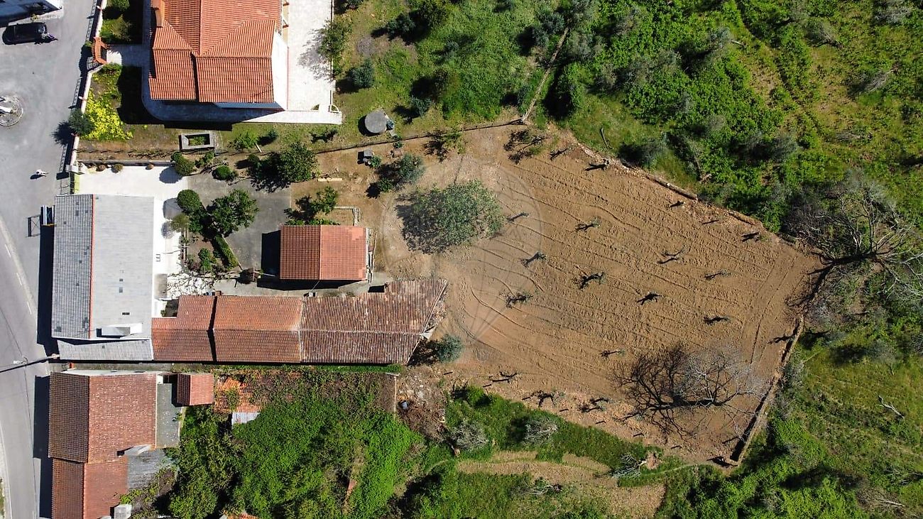 Moradia T3 à venda em Nossa Senhora do Pranto, Ferreira do Zêzere — foto 6