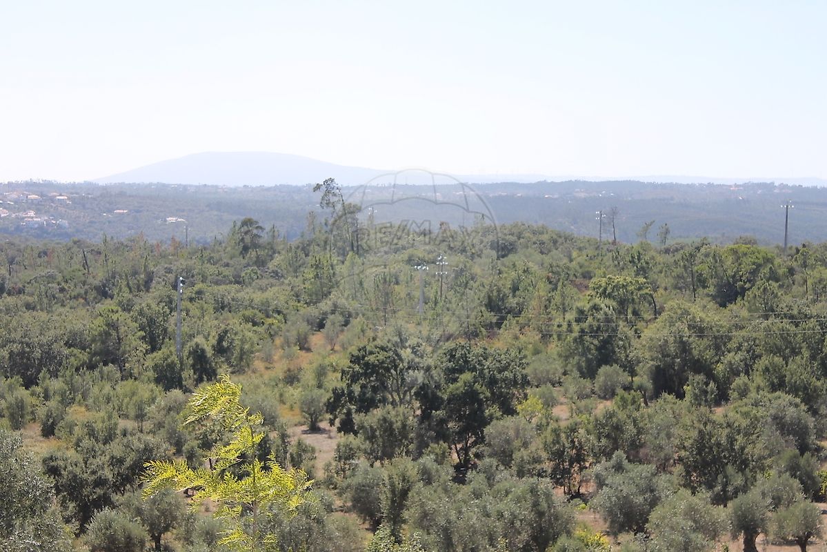 Moradia T2 à venda em Casais e Alviobeira, Tomar — foto 37