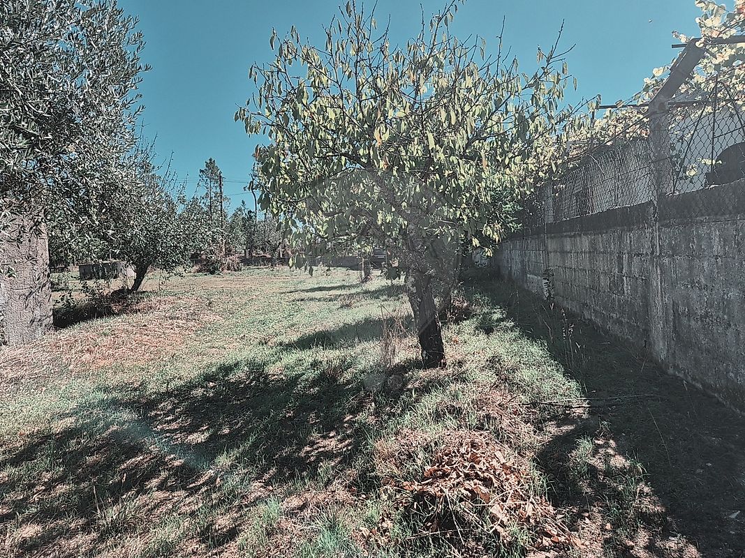Moradia T2 à venda em Olalhas, Tomar — foto 10