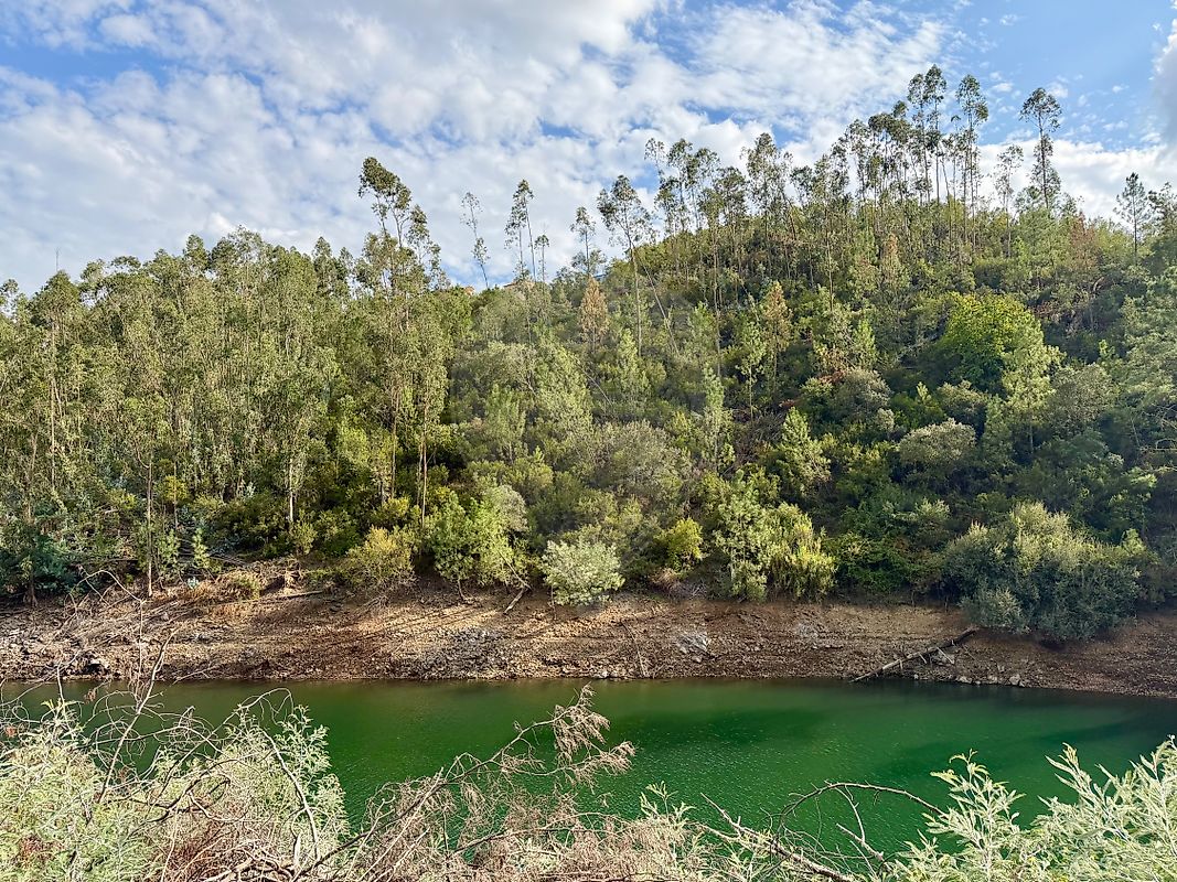 Terreno - Serra e Junceira, Tomar, Santarém