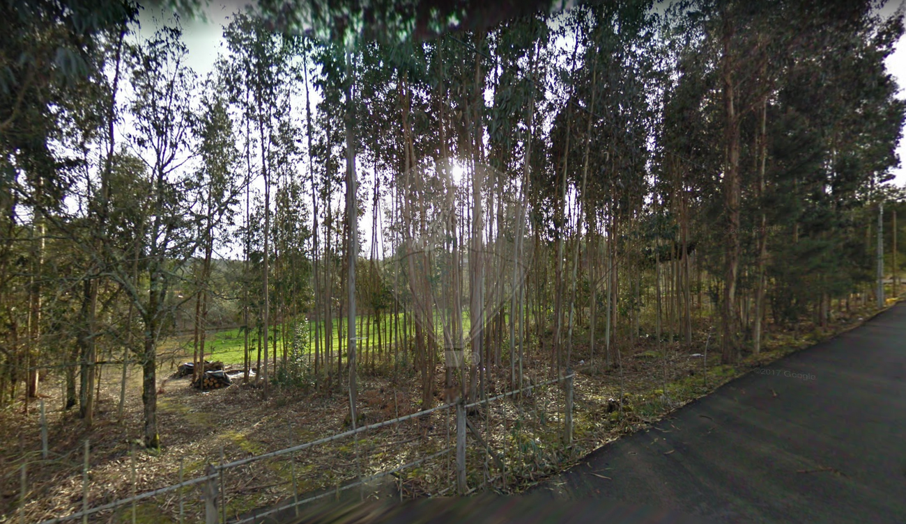 Terreno  para venda