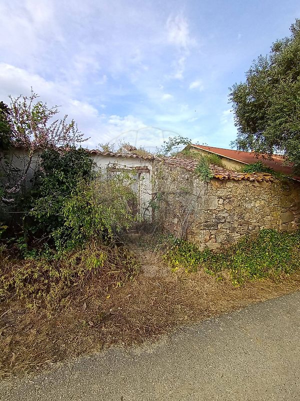 Terreno - São Pedro de Tomar, Tomar, Santarém