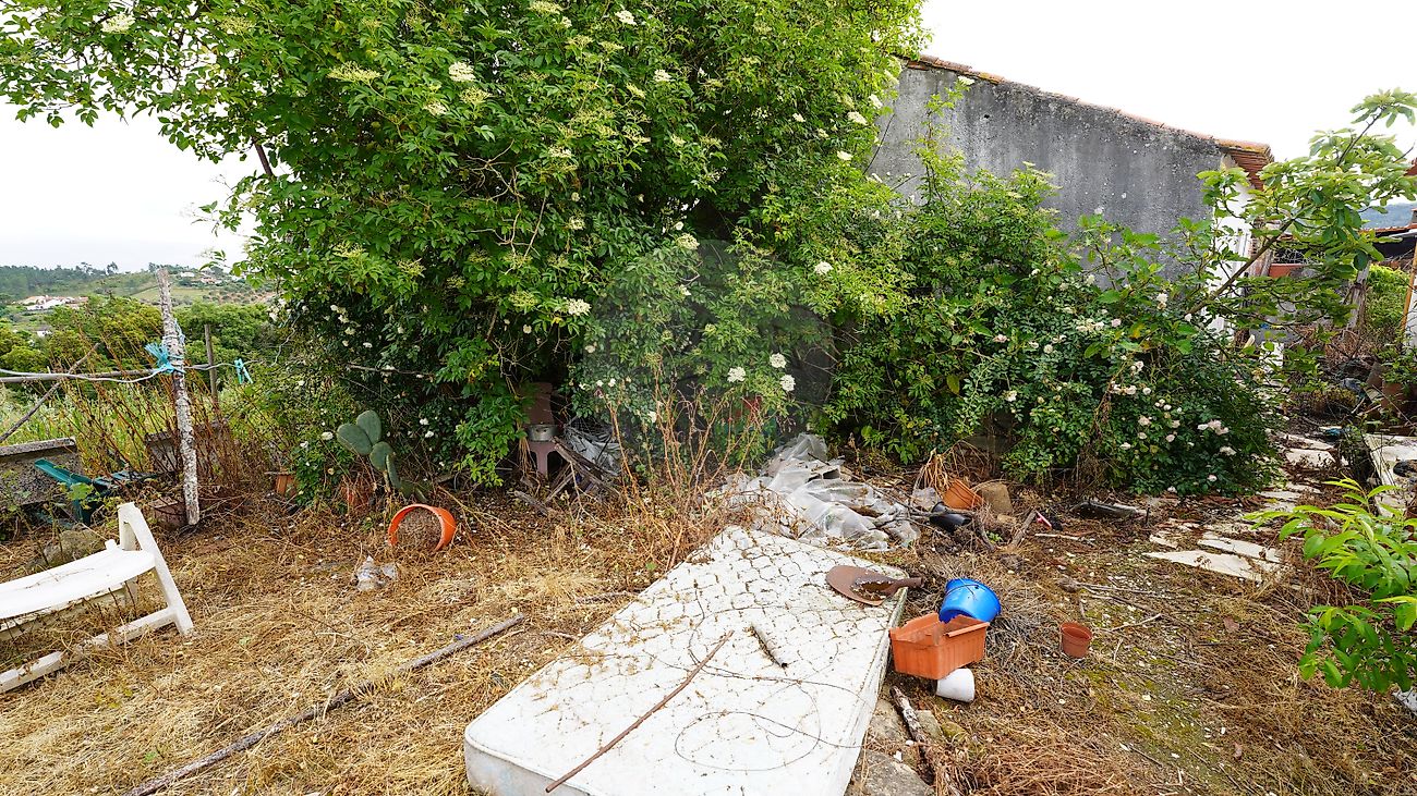 Terreno - São Pedro de Tomar, Tomar, Santarém