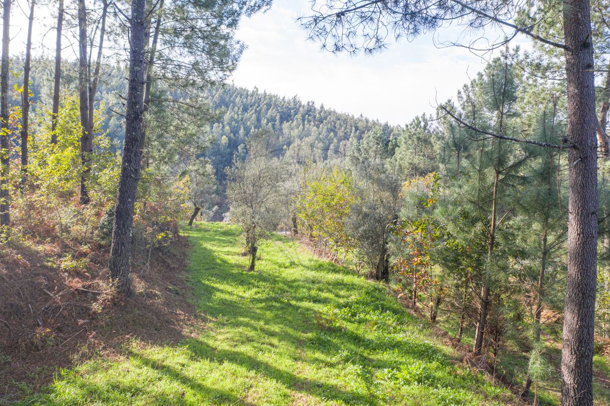 listing 125311014-139 picture-0