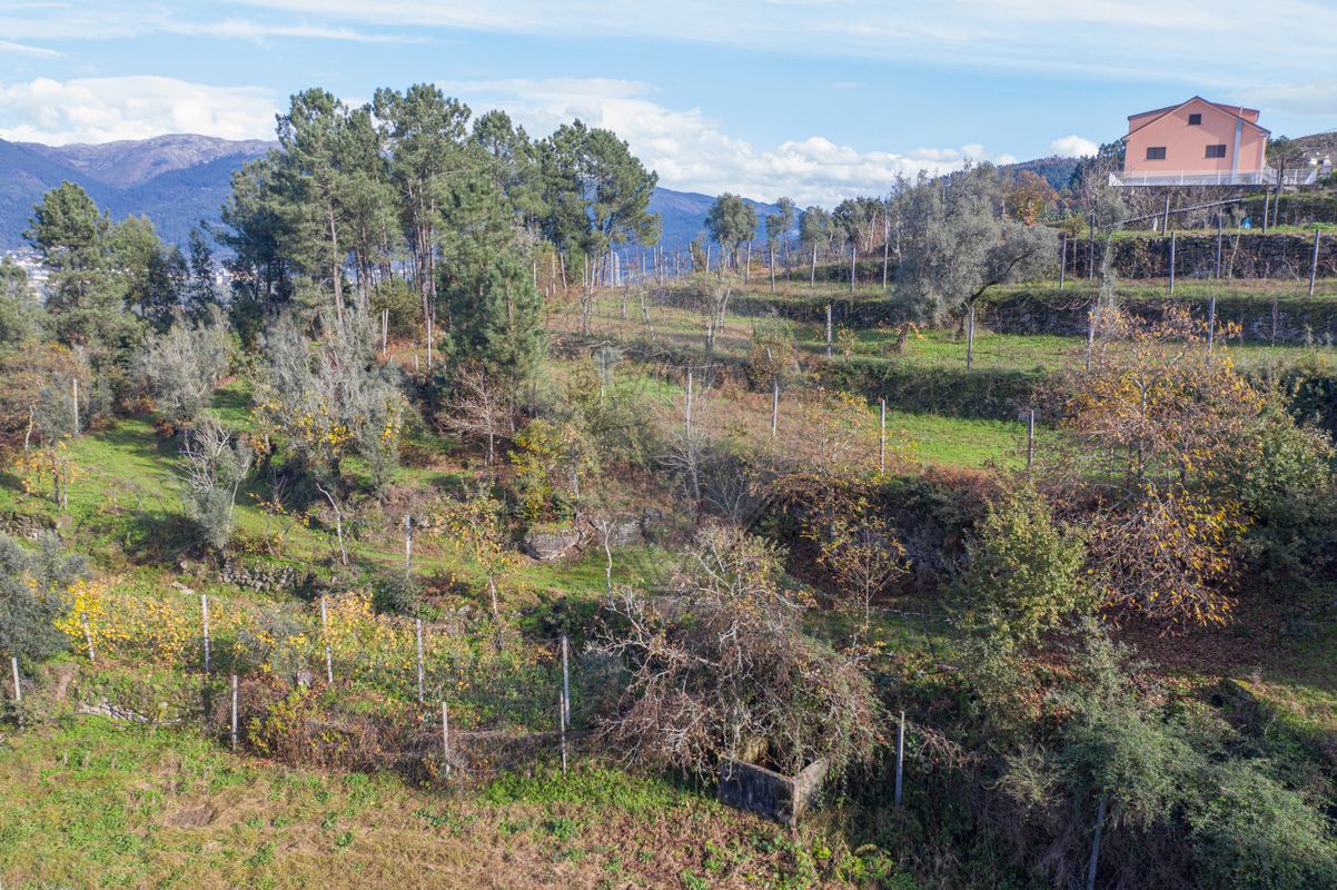 listing 125311014-139 picture-0