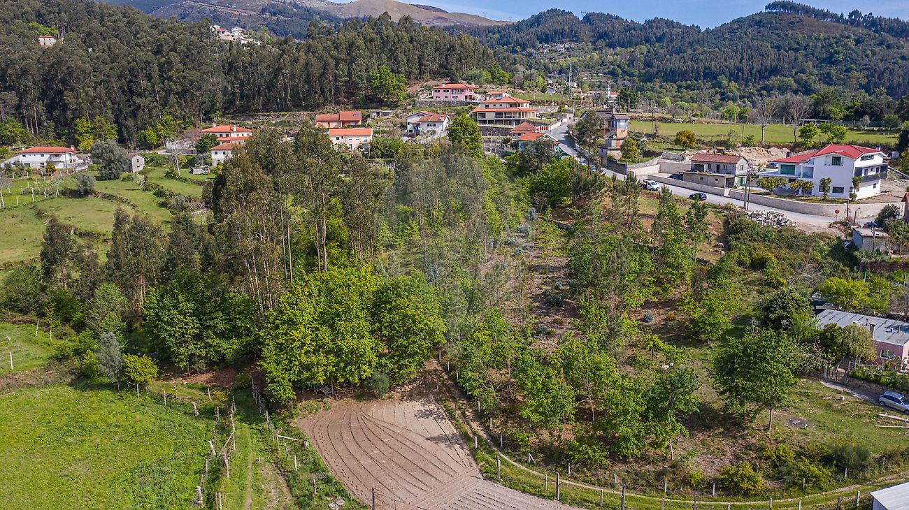 Terreno  para venda