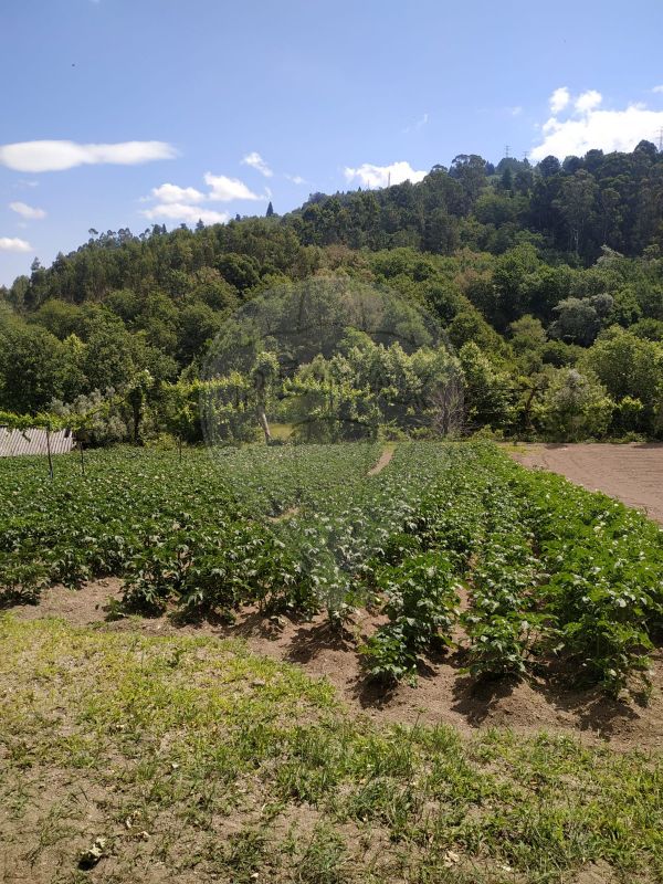 Terreno para venda
