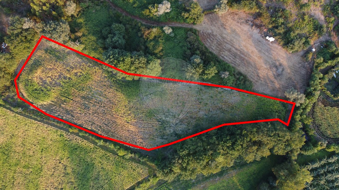 Terreno  para venda