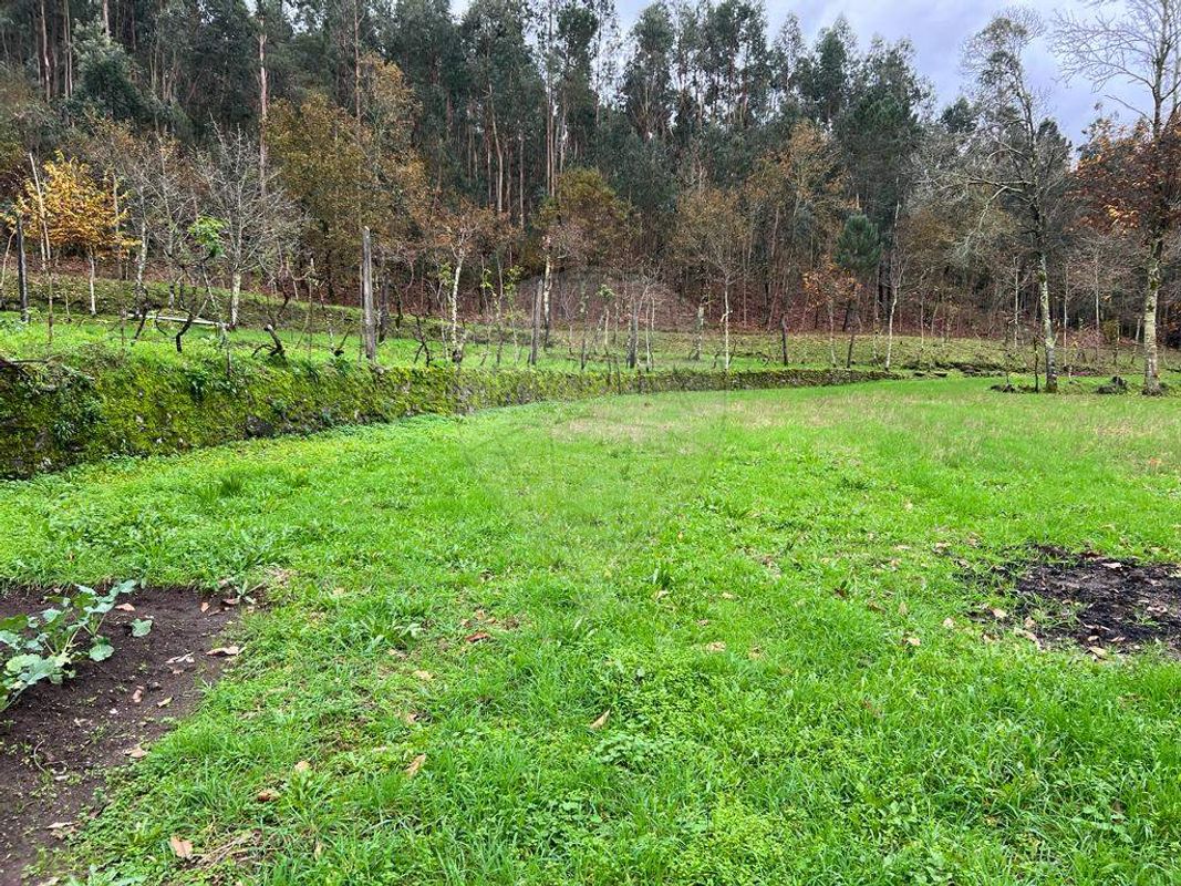 Terreno  para venda
