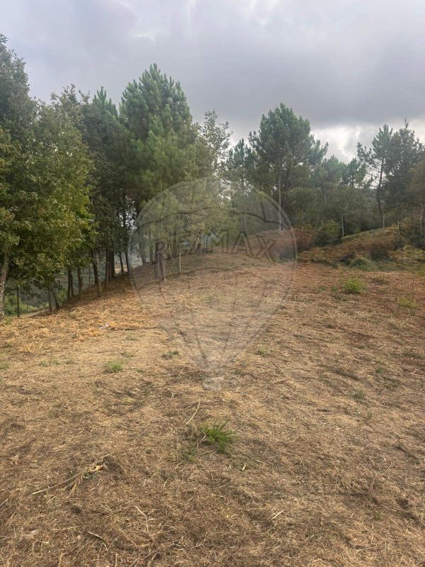 Terreno  para venda