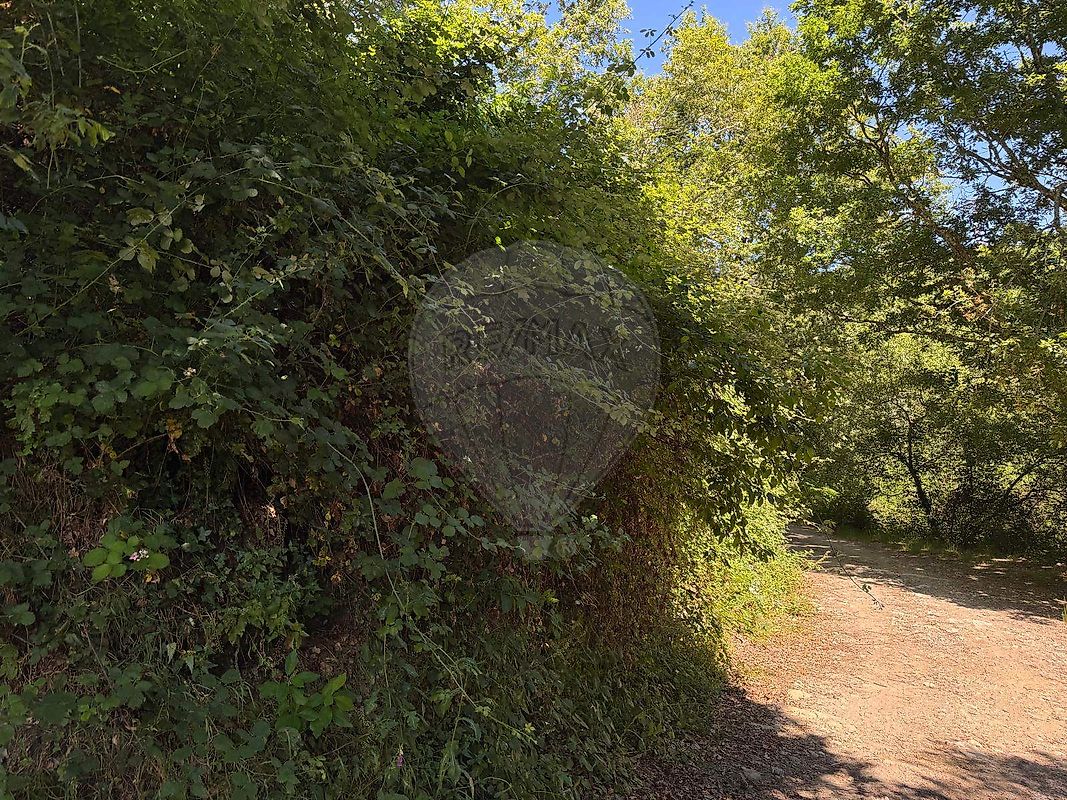 Terreno  para venda