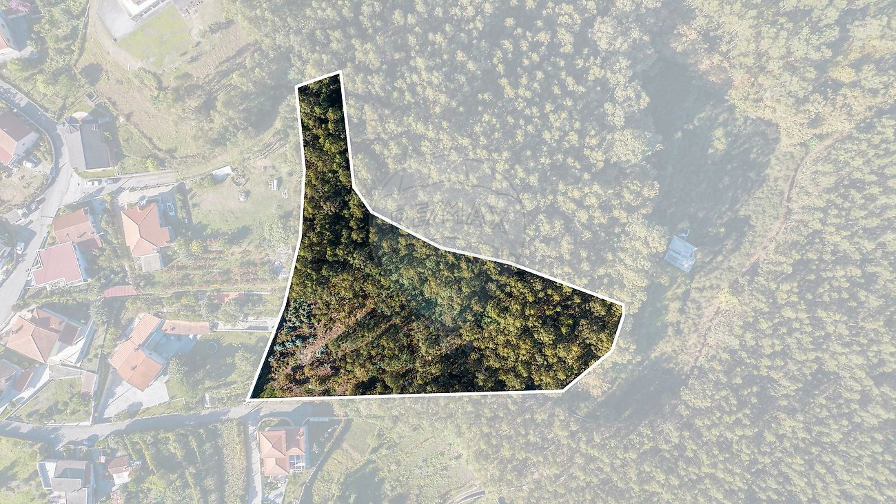 Terreno - Galegos, Póvoa de Lanhoso, Braga