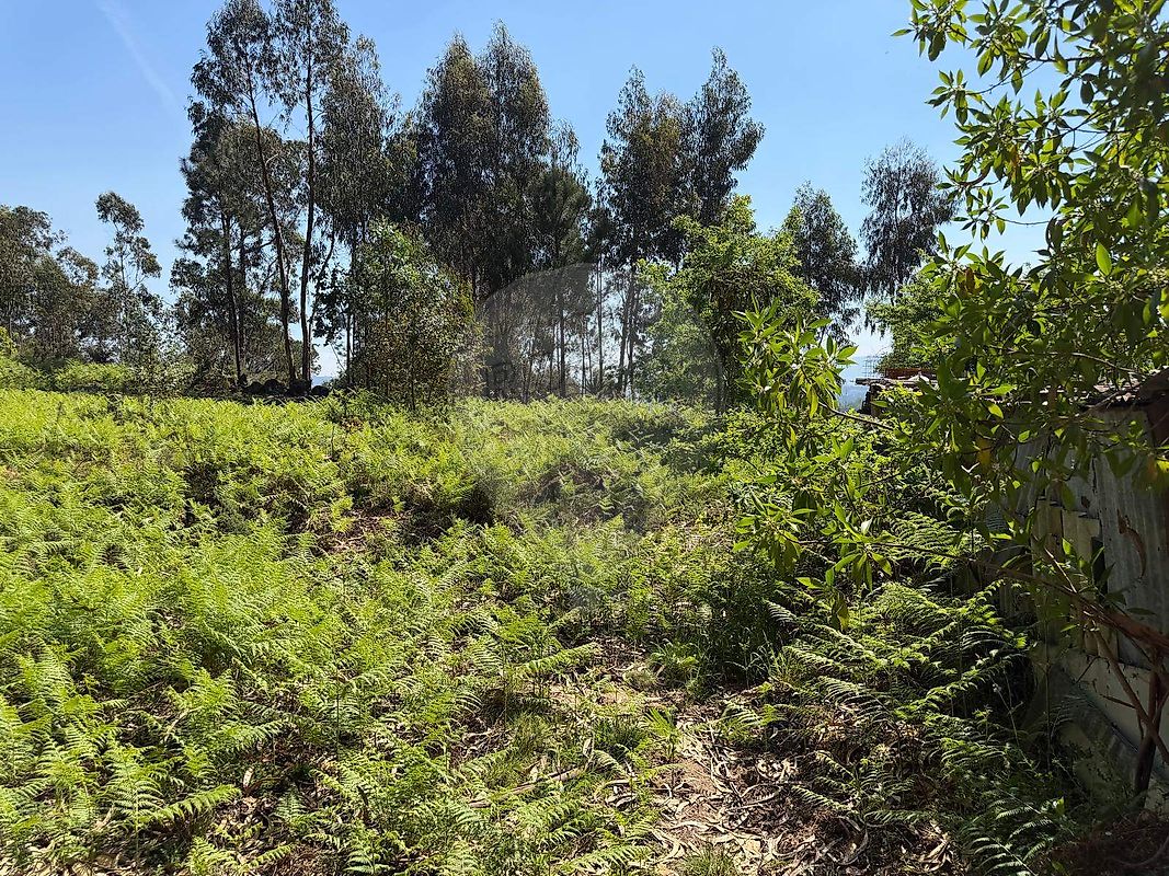 Terreno - Geme, Vila Verde, Braga
