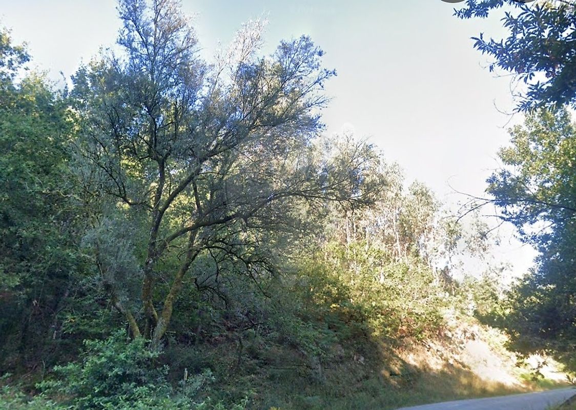 Terreno - Sobradelo da Goma, Póvoa de Lanhoso, Braga