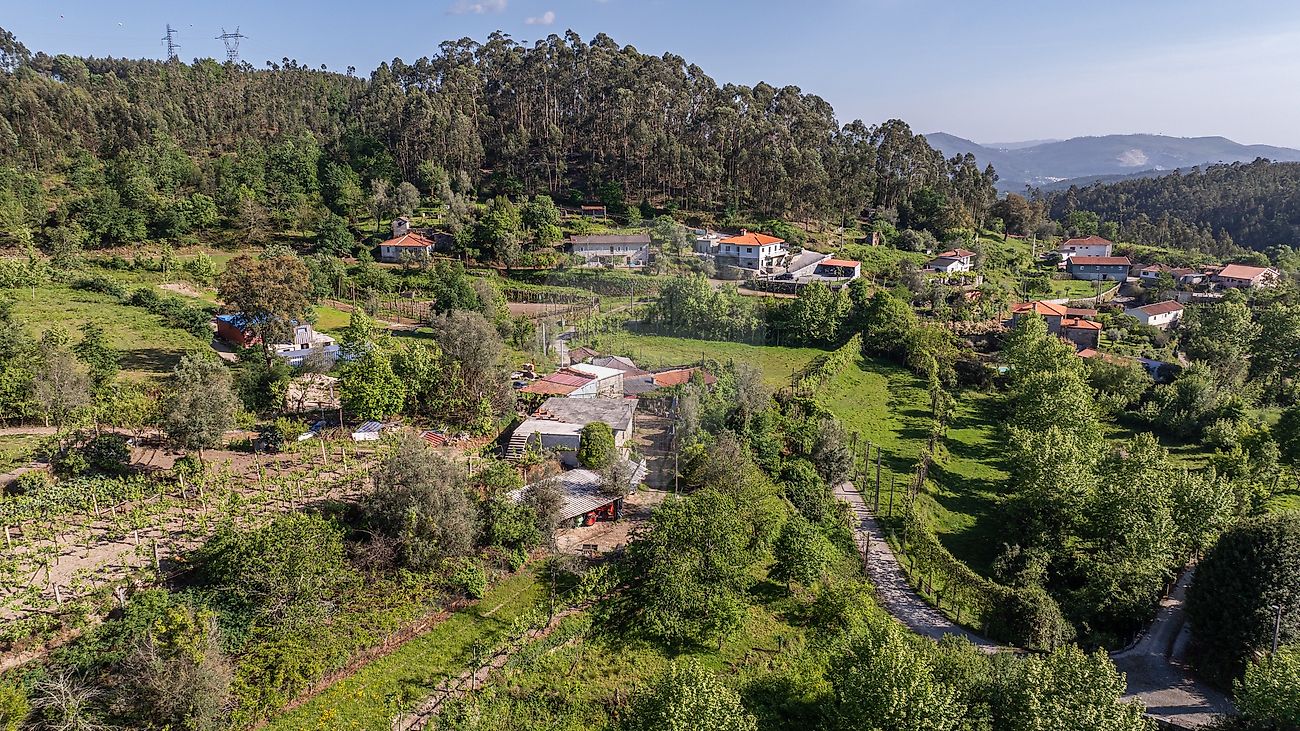 Moradia T1 à venda em Calvos e Frades, Póvoa de Lanhoso — foto 14