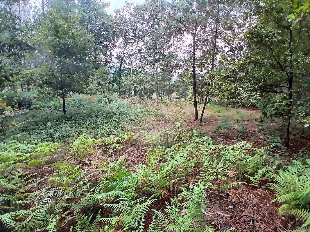 Terreno à venda em Fafe