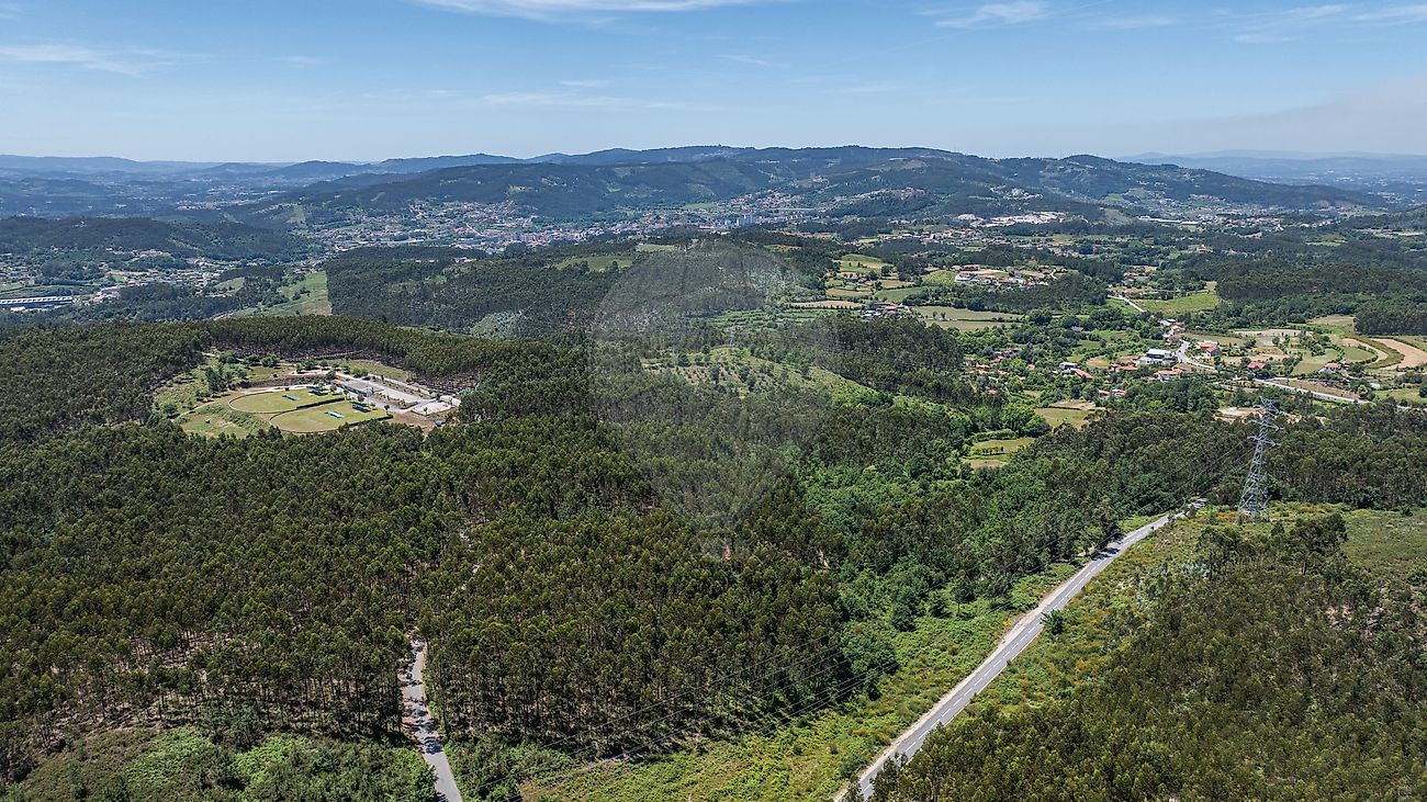 Terreno - Calvos e Frades, Póvoa de Lanhoso, Braga