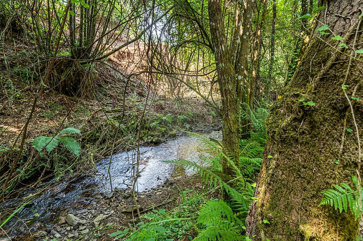 Moradia T1 à venda em Vila Cova da Lixa e Borba de Godim, Felgueiras — foto 24