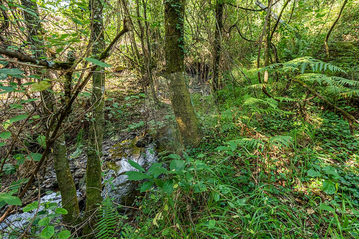 Moradia T1 à venda em Vila Cova da Lixa e Borba de Godim, Felgueiras — foto 26
