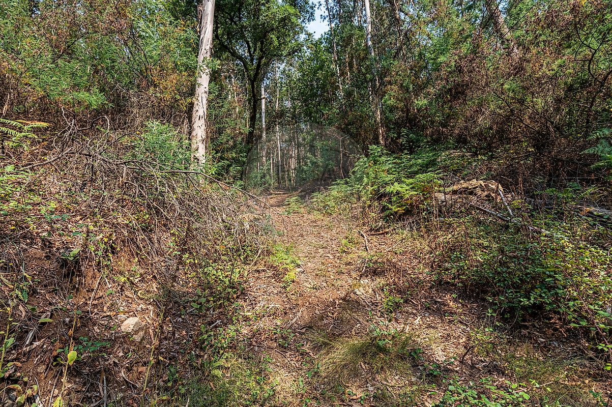 Moradia T1 à venda em Vila Cova da Lixa e Borba de Godim, Felgueiras — foto 28