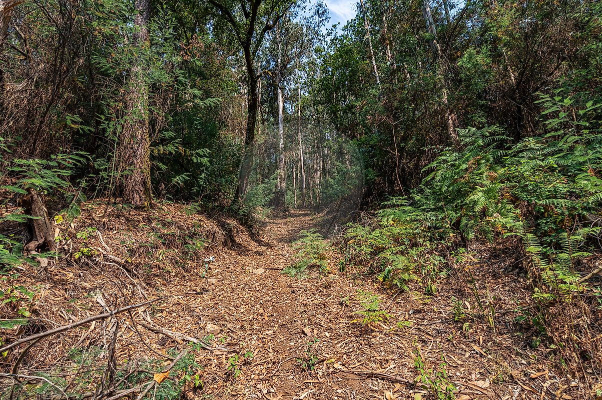 Moradia T1 à venda em Vila Cova da Lixa e Borba de Godim, Felgueiras — foto 29