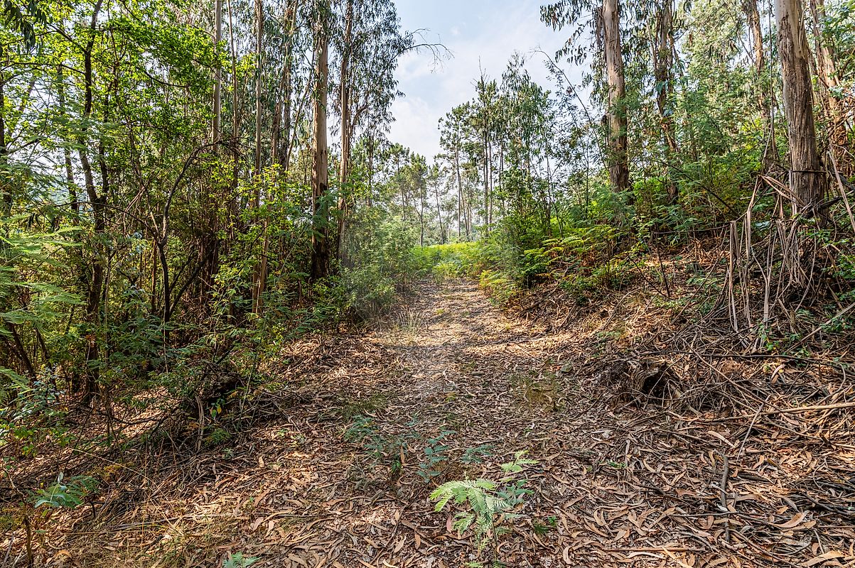 Moradia T1 à venda em Vila Cova da Lixa e Borba de Godim, Felgueiras — foto 20