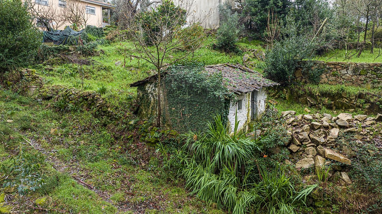 Moradia T1 à venda em Campos e Louredo, Póvoa de Lanhoso — foto 6