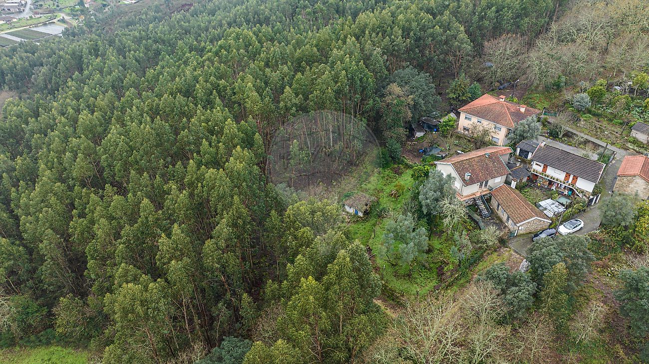 Moradia T1 à venda em Campos e Louredo, Póvoa de Lanhoso — foto 11