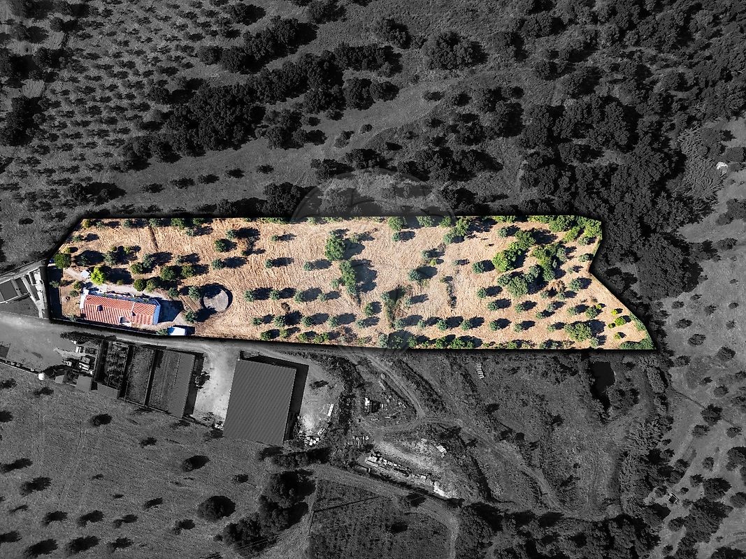 Quinta - Mouriscas, Abrantes, Santarém