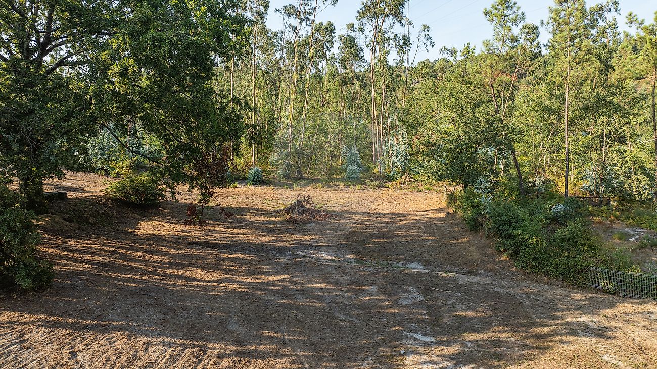 Moradia T3 à venda em Calvos e Frades, Póvoa de Lanhoso — foto 7