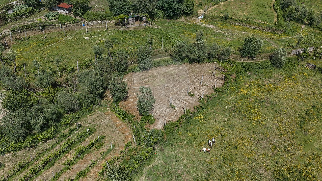 Moradia T4 à venda em Sobradelo da Goma, Póvoa de Lanhoso — foto 10
