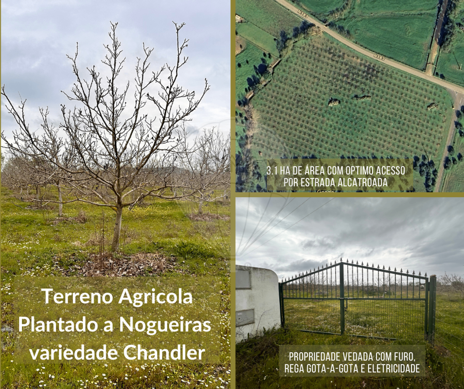 Terreno  para venda
