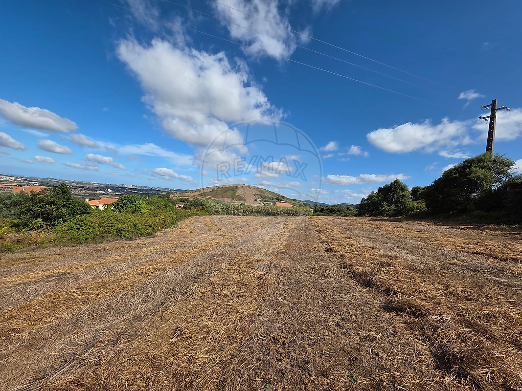 Moradia T1 à venda em Almargem do Bispo, Pêro Pinheiro e Montelavar, Sintra — foto 9