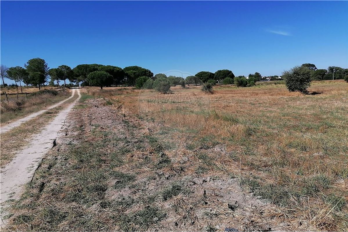 Terreno à venda em Montijo