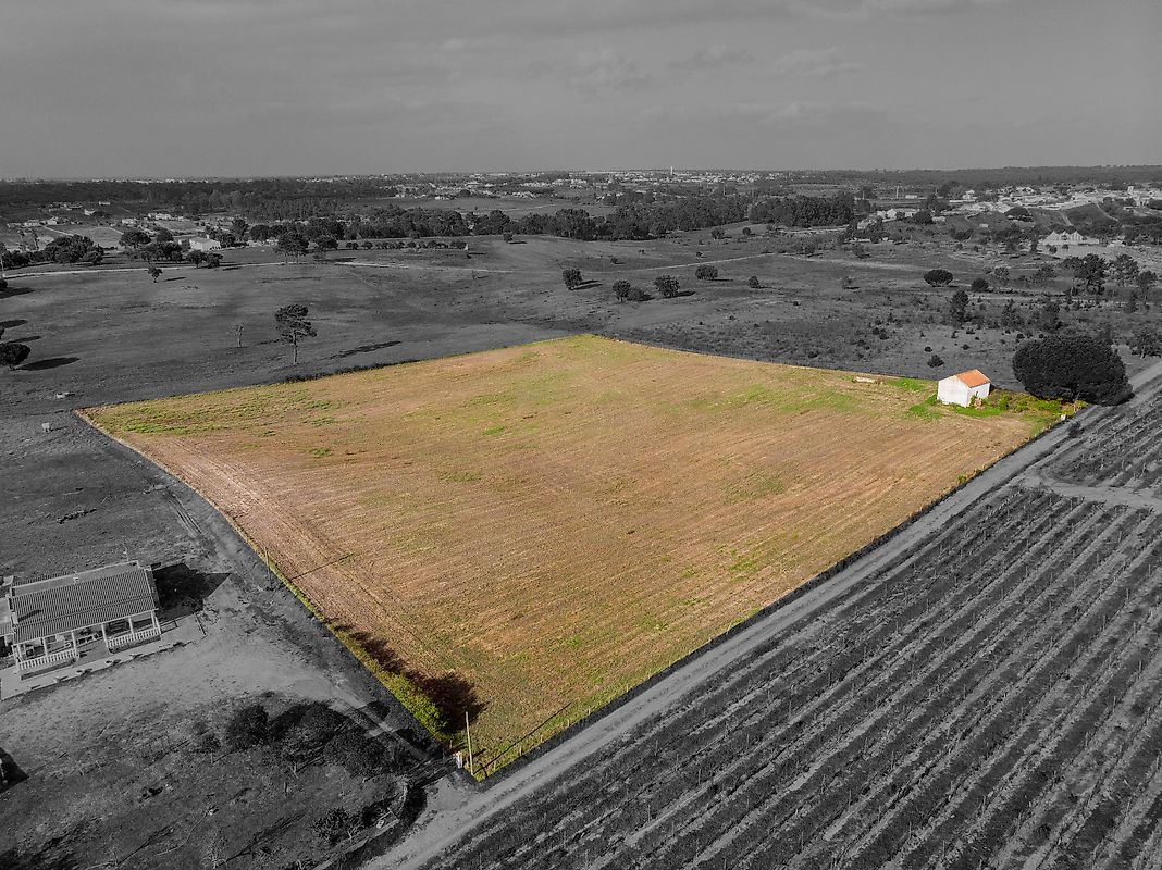 Terreno à venda em Vendas Novas