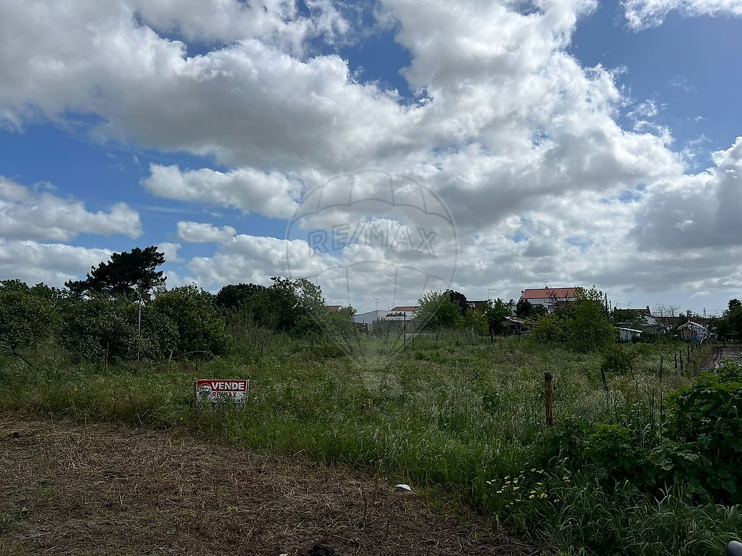 Terreno em Vendas Novas