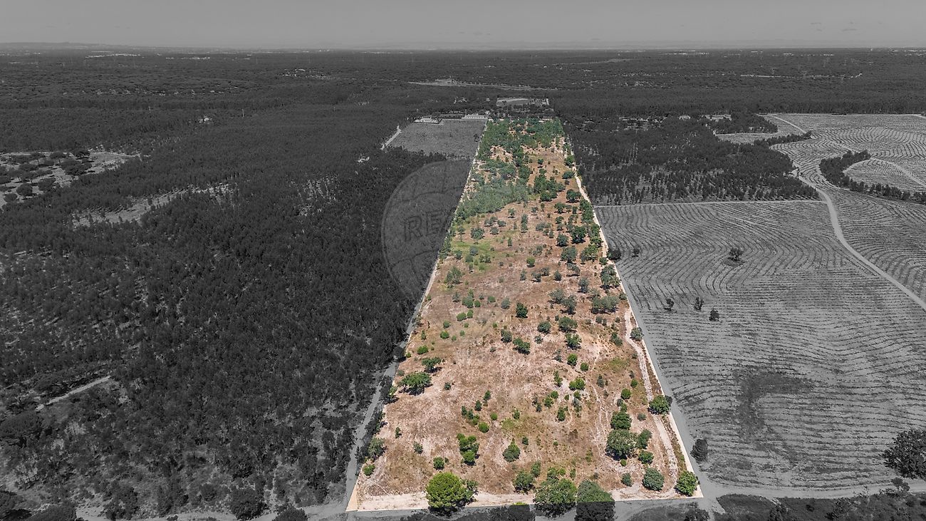 Terreno à venda em Montemor-o-Novo