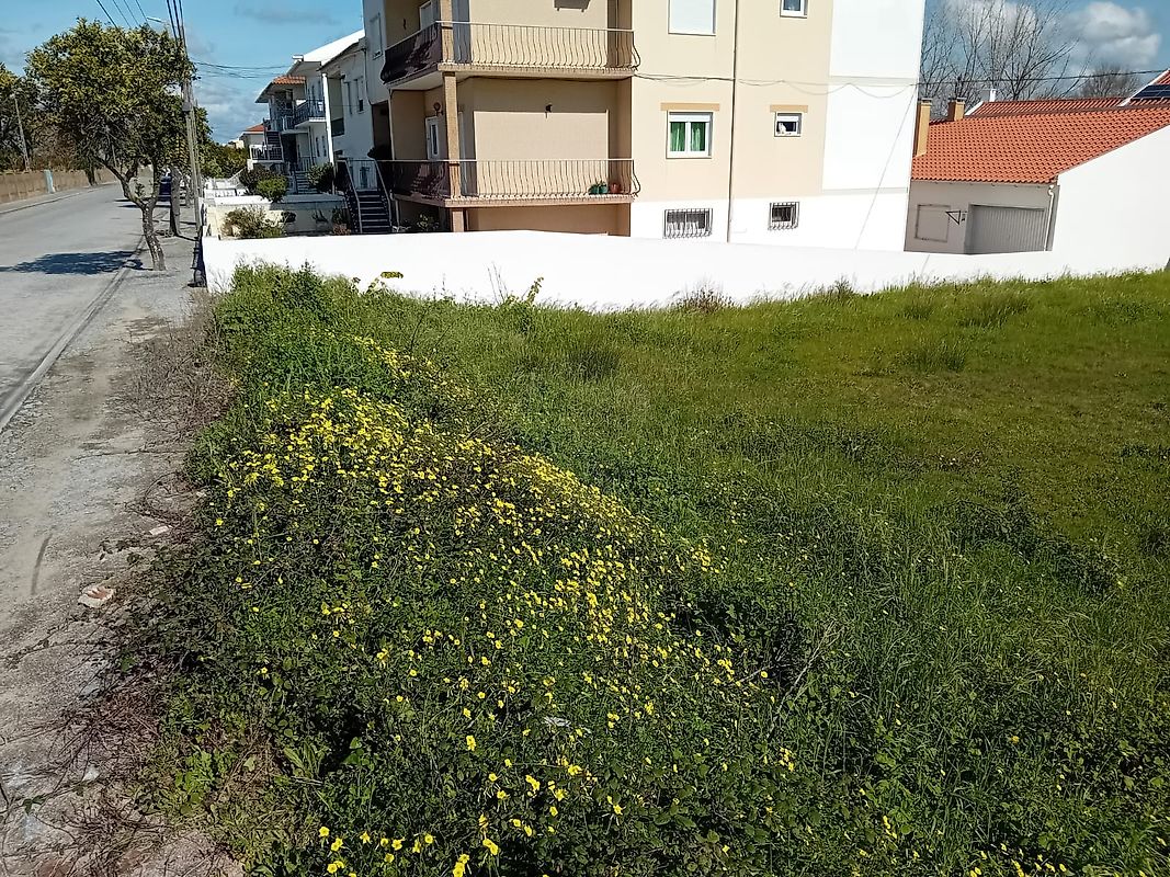 Land for sale in Vendas Novas, Portugal — €95,000