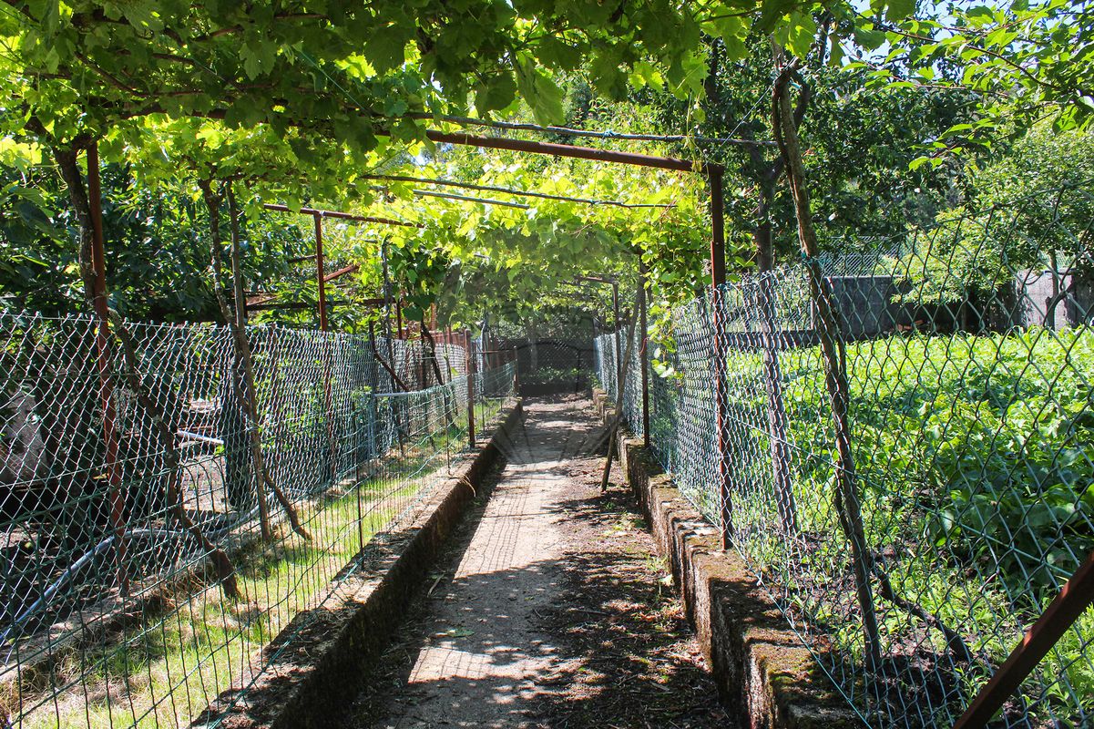 Quinta para venda