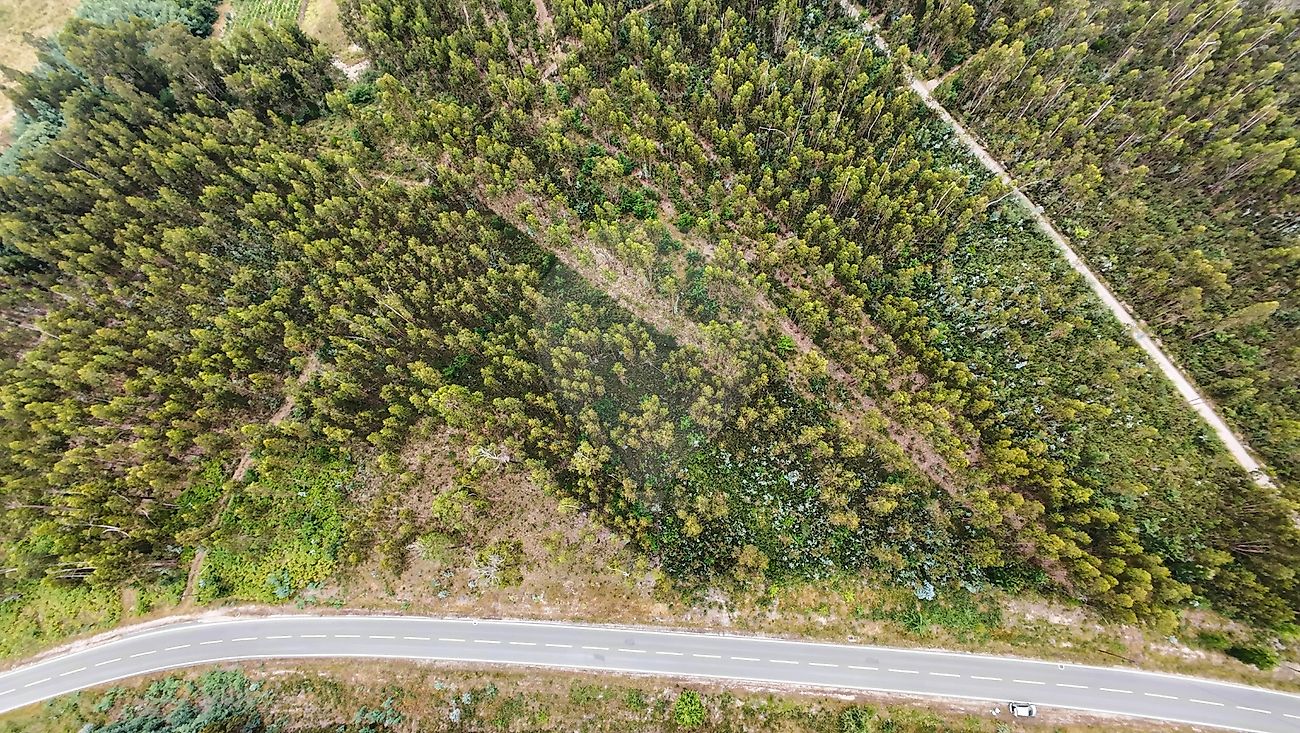 Terreno para venda