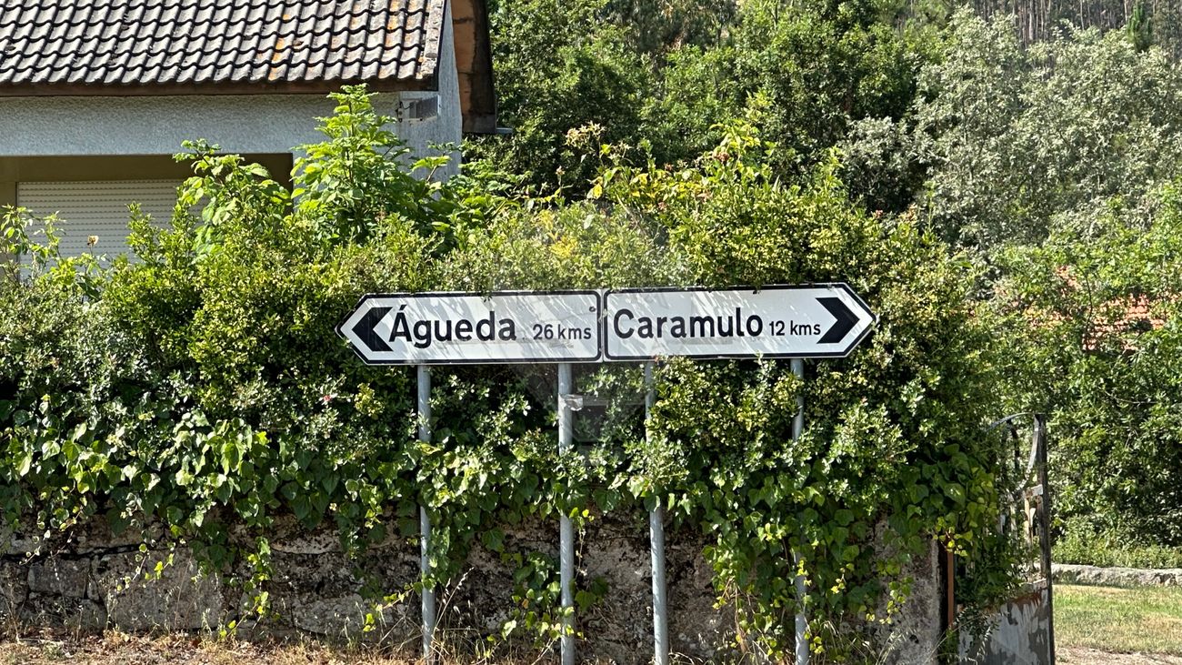 TODO