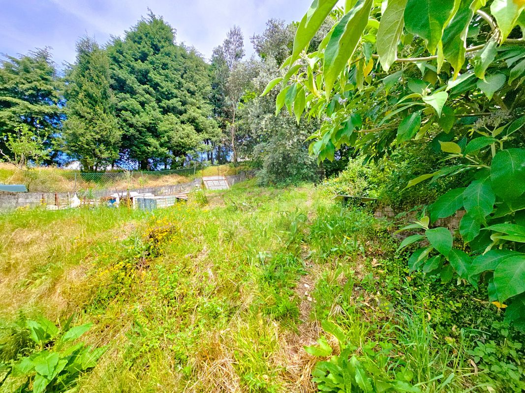 listing 125361082-1 picture-0