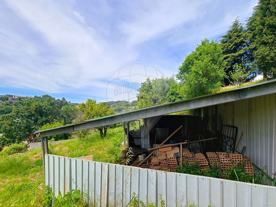listing 125361082-1 picture-0