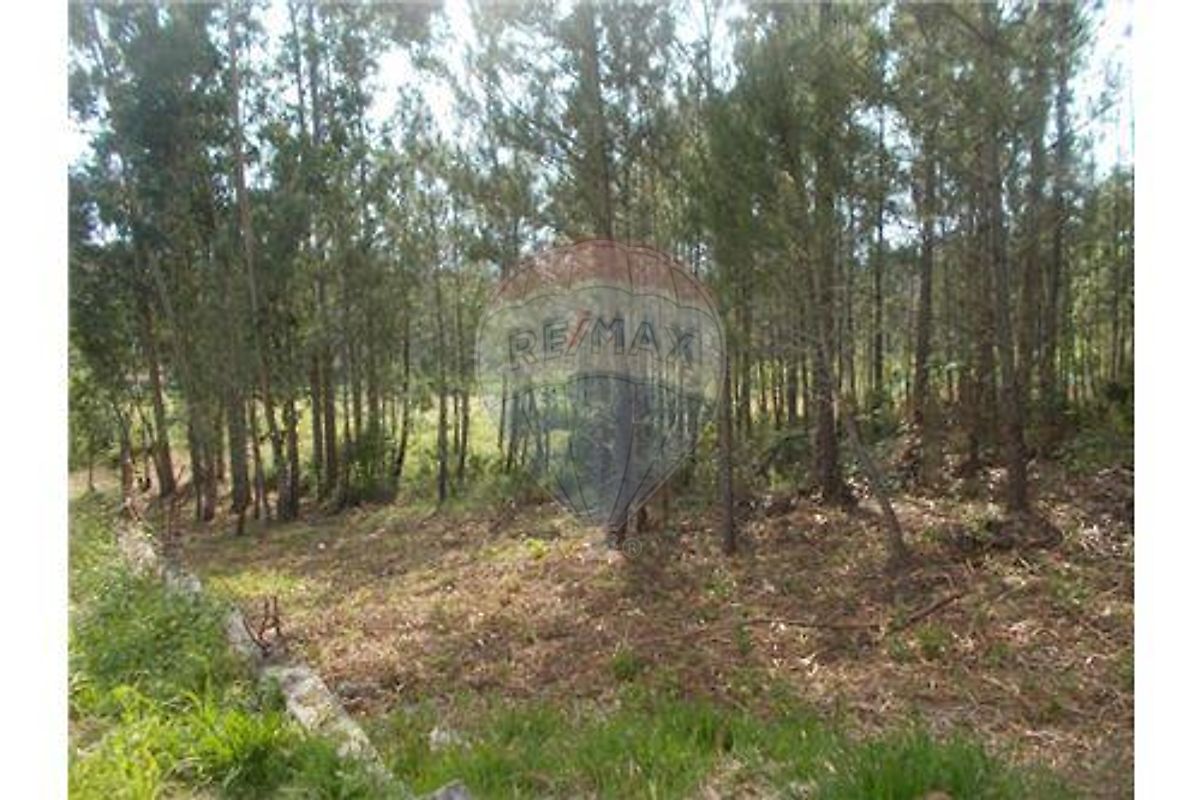 Terreno para venda
