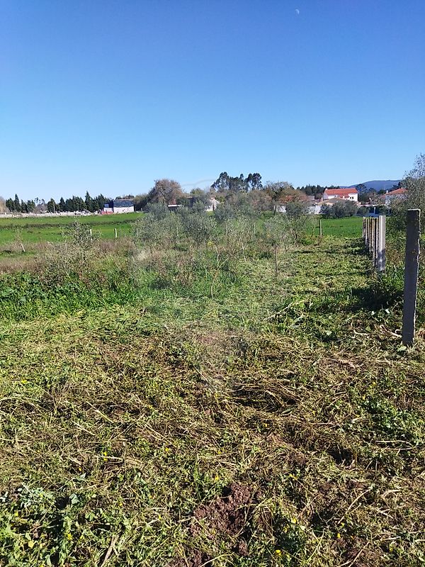 Terreno  para venda