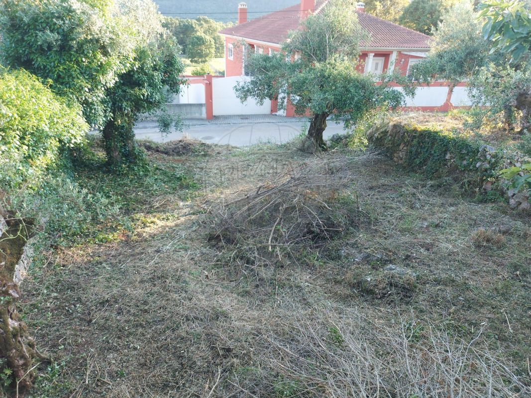TODO