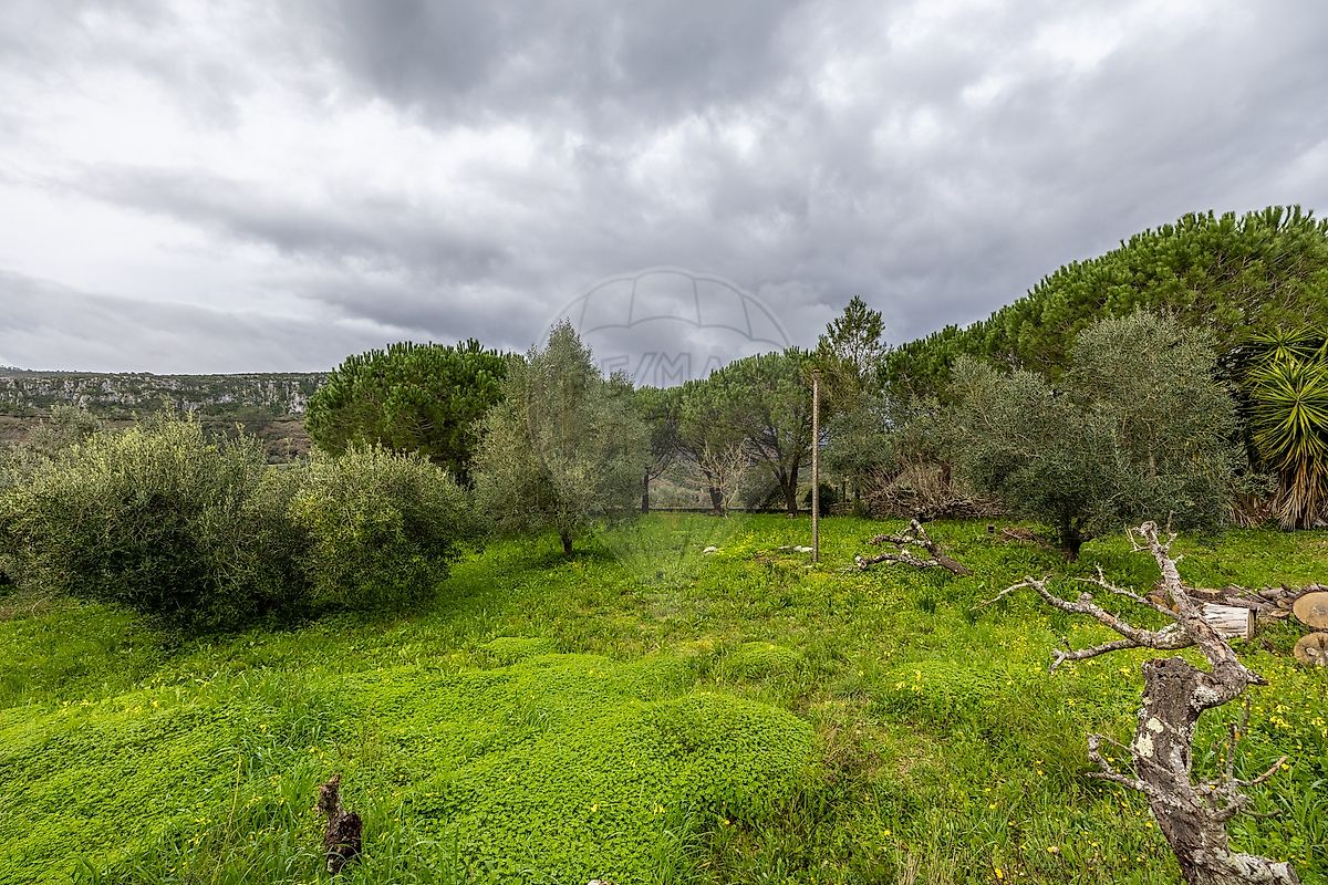 Moradia T2 à venda em Alvados e Alcaria, Porto de Mós — foto 32