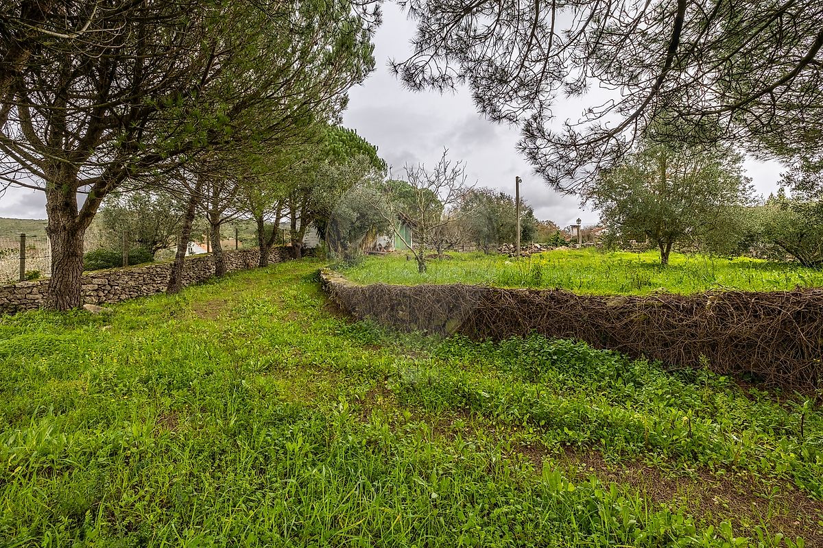 Moradia T2 à venda em Alvados e Alcaria, Porto de Mós — foto 38